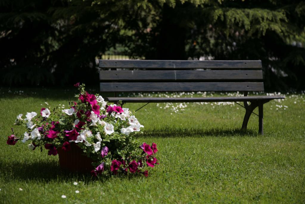 Hotel Bassetto Ferentino Luaran gambar