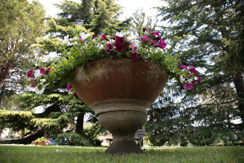 Hotel Bassetto Ferentino Luaran gambar