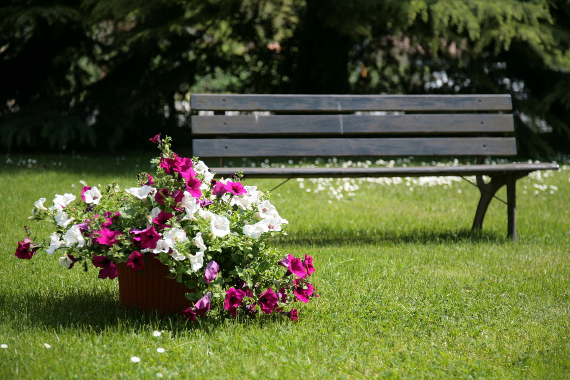 Hotel Bassetto Ferentino Luaran gambar